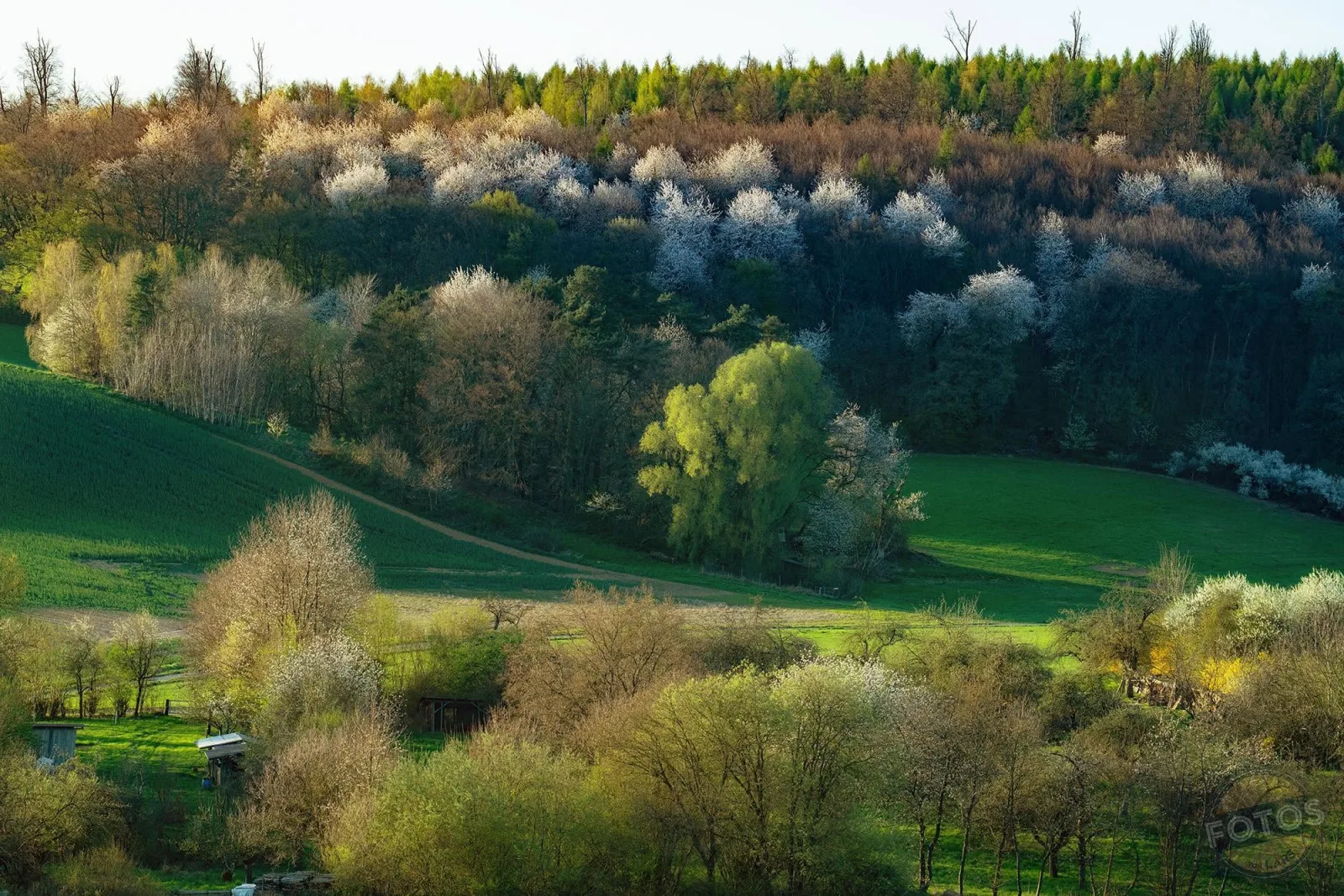 Die Montessori Farm im Auenland
